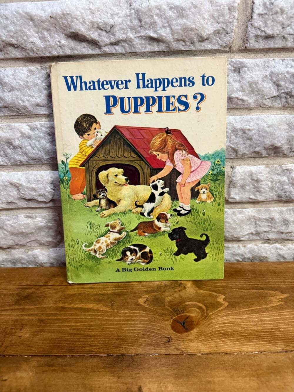 Whatever Happens to Puppies? 1965 A Big Golden Book Bill Hall Virginia Parsons